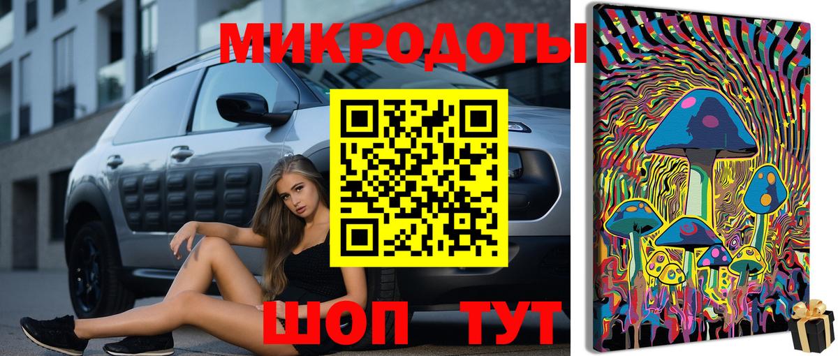 Псилоцибиновые грибы Magic Shrooms  Вход с VPN  Вичуга  Псилоцибиновые грибы Psilocybe 